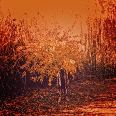 Worry Bout (Prod. Muddigold)