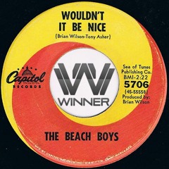 Beach Boys - Wouldn't It Be Nice (Winner Remix)