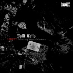 LiBizzy ft Vonny Montana - Split Cells