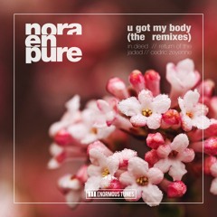 Nora En Pure - U Got My Body (Cedric Zeyenne Remix)