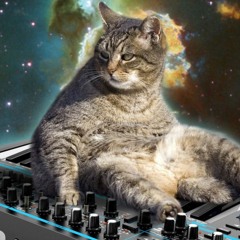 Rumi1430atekabülediyor