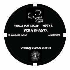 ROSA SHANTI - WARRIORS (GROOVY BOXES DUBPLATE)