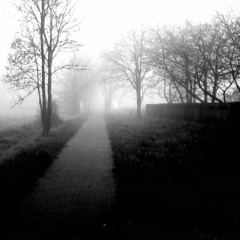 In The Meantime by Randall Kent