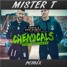 Chemicals Feat. Thomas Troelsen (MISTER T REMIX)