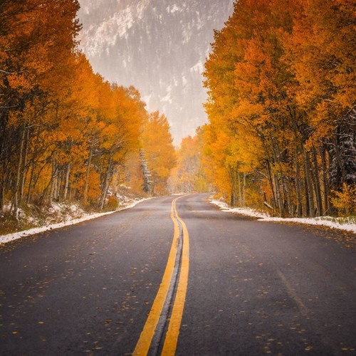 CelDro & Kantilo - Our Journey