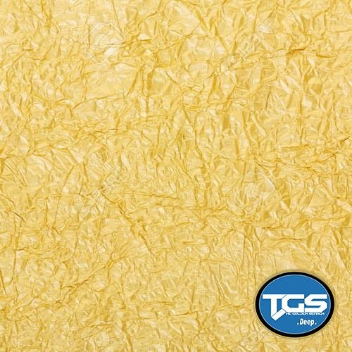 [TGS Premiere] Gold Front - Jumanji (Original Mix) Free !