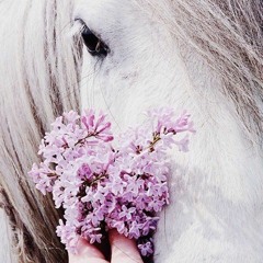 يا إلهي ! ارزُقنا حلالك يا كريم "مُقشعِر للأبدان" !