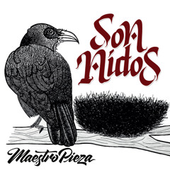 Déjate llevar por el Río Esperanza