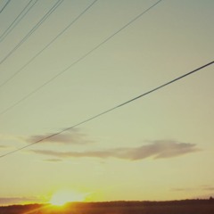 vitality