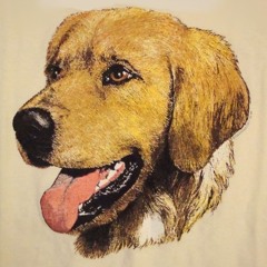 EdBen04 - 18 - 1 4 Domestic Dog