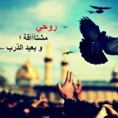 افراح ال البيت .