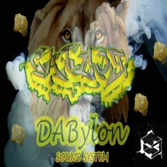 Catdog - Primitive Ragga Band (CCR022- Dabylon Sound System)