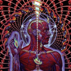 Lateralus Cover (Instrumental)