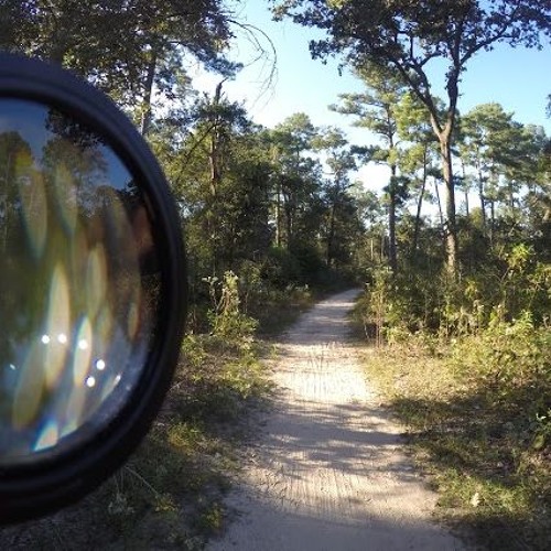 Stream Visionary (WIP) by Rob-ez | Listen online for free on SoundCloud