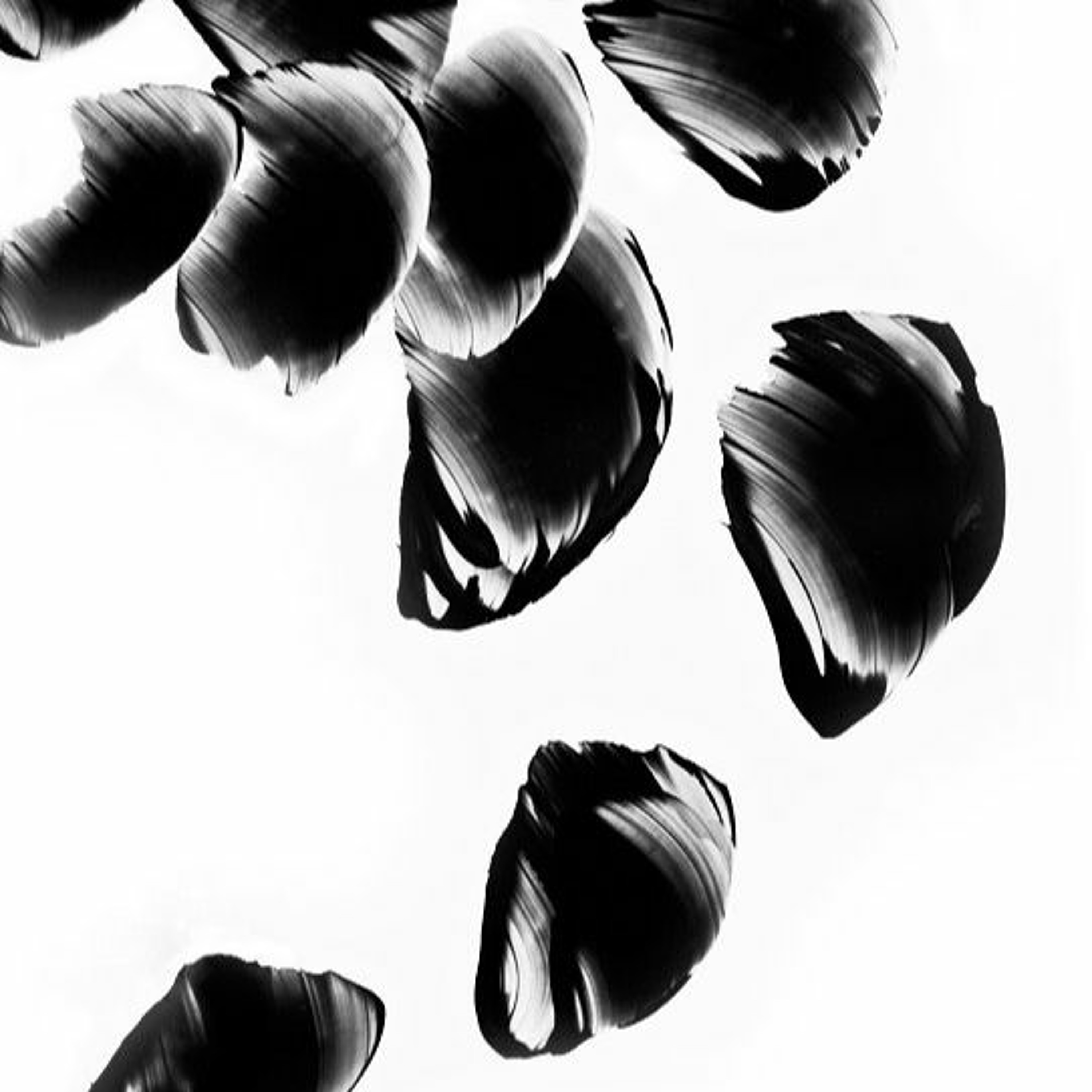 Grebois - SNR episode artwork