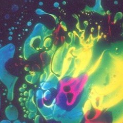 THE DECEMBER SOUND - THE SILVER ALBUM - NEVER