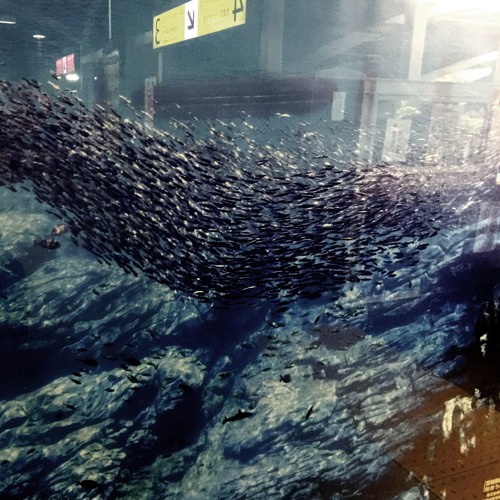 Every Breath You Take  - #701