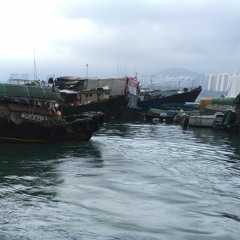Field Recording : Hong Kong traditional fish boat, Hong Kong Shaukeiwan Typhoon Shelter