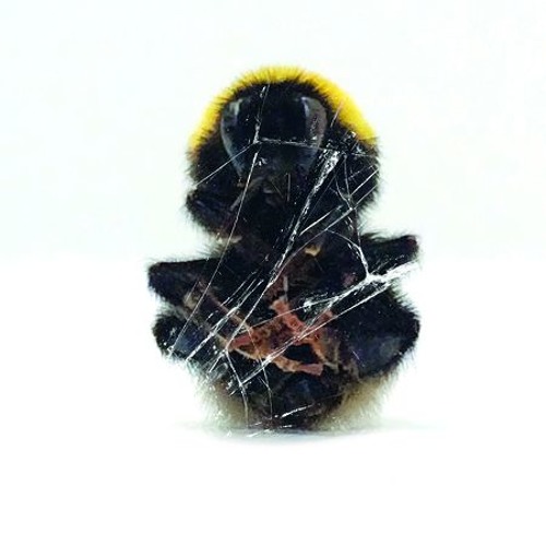 Rage Against The Light (Feat. Dehlia De France)