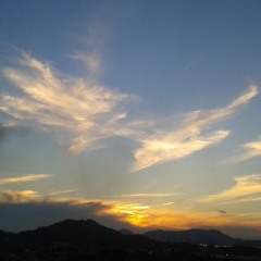 The Sun Will Lead You Home