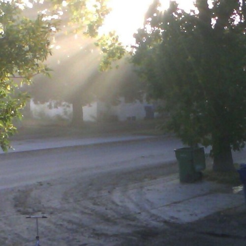 Discounted Rate (acoustic)