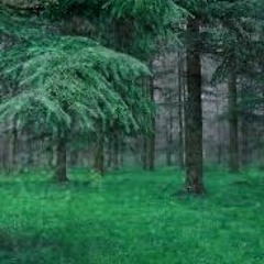 Food & Sleep (acoustic)