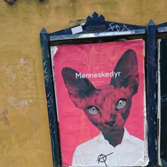 KopenHaven Katt' Killing