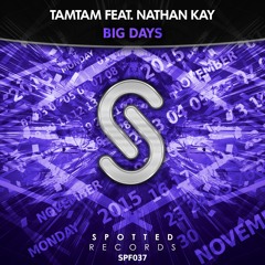 TAMtam feat. Nathan Kay - Big Days