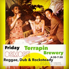 LIVE inna fine style - Osmose at Terrapin Brewery Nov 2015