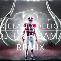 Dixieland Delight Dj T - Rip BAMA Remix
