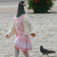 Blood and Faeces (demo)