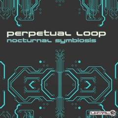 Perpetual Loop - A Bright New Day