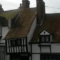 Alme Veneremur - Alleluya Psallat - Candens