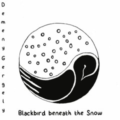 Blackbird Beneath The Snow