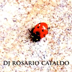 Cresciuto via (Vocal Mix RC) - Dj Rosario Cataldo