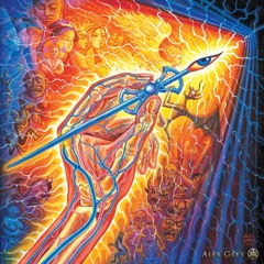 Lava Flows