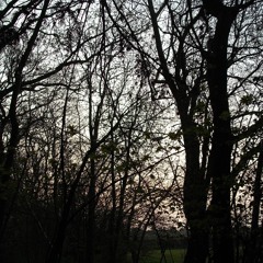 Rehearsal For The Rehearsal