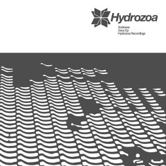 AndReew - Zeus - Hydrozoa