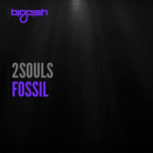 2SOULS - Fossil (Original Mix) Out Now!