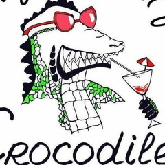 dicseR - Crocodile Winter Set 2015