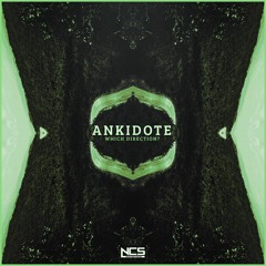 Anikdote - Which Direction? [NCS Release]