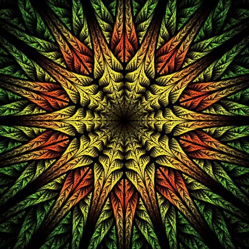Psychedelic Forest - Preview Set Mix 2015