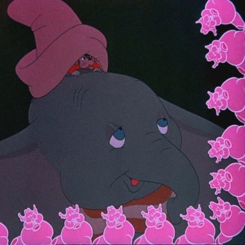 Dumbo på fælg