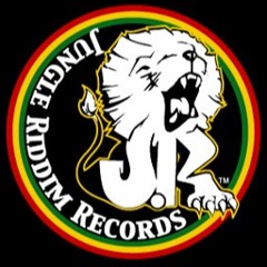 Can't Kill My Sound - WARRIOR KING - remix by DJ CRS?