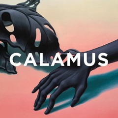 Jay Real & Jetson - Calamus