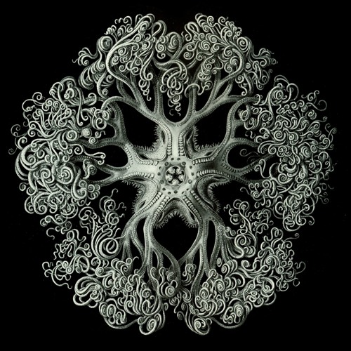 pytchblend - phanTasie (rhapsody pt1)