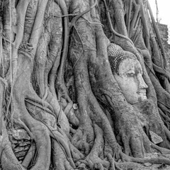 Xtase -Roots Travel- Original Mix