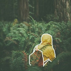 Forest Explorer