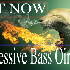 Progressive Bass Oiriginal