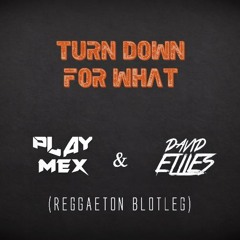 Turn Down For What - PLAYMEX(Reggaeton Bootleg)Support by Noizekid [Comprar = Free Download]